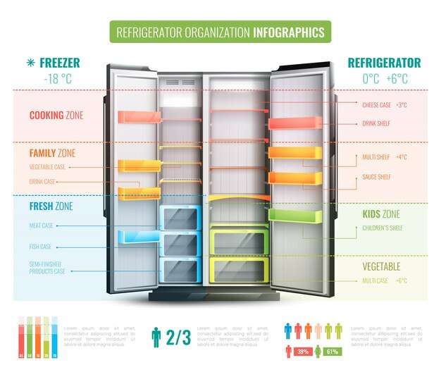 refrigerator organization infographics 1284 23323 Home Solution India
